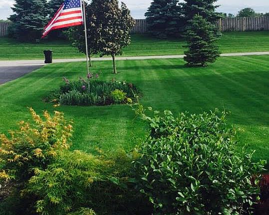 View looking out from porch