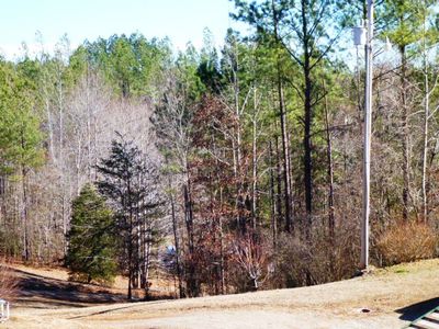 2056 Darlington Rd, Rutherfordton, NC, 28139