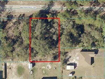 Malauka Pass Lot 15, Ocklawaha, FL, 32179