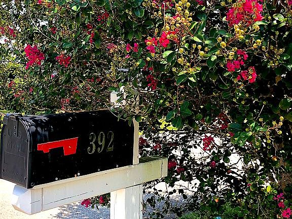 Enjoy flowering trees!
