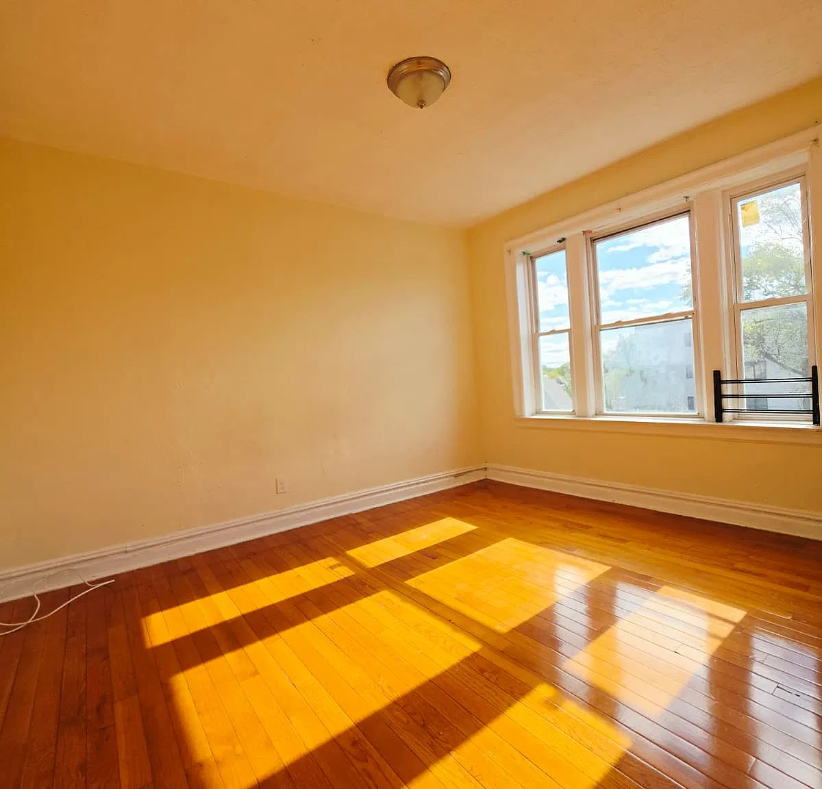 1 bed, 650 sqft, $1,625 — Photo 3
