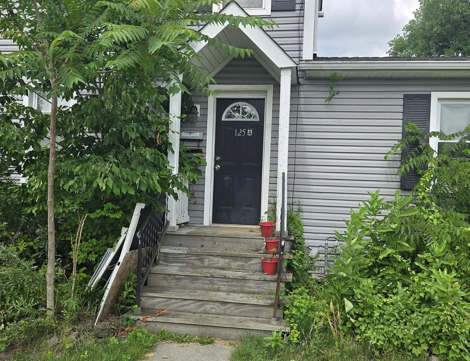 1 bed, $1,500 — Photo 1