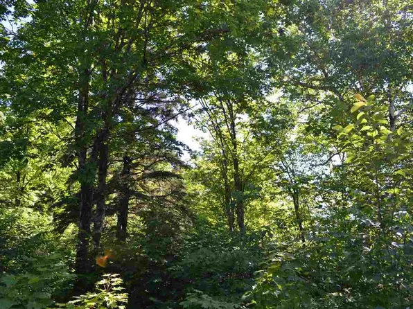 4 Maple Leaf Trl, Lutsen, MN 55612