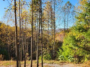 129 Oaks Rd, Unicoi, TN 37692