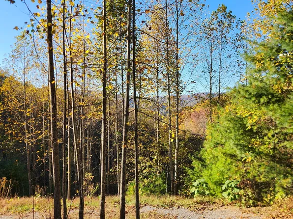 129 Oaks Rd, Unicoi, TN 37692