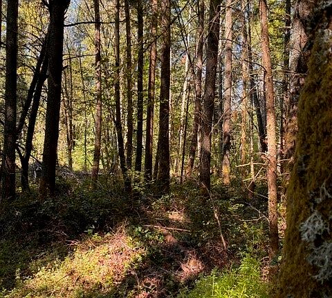 3rd image of 0 Chuckawa Lane SW
