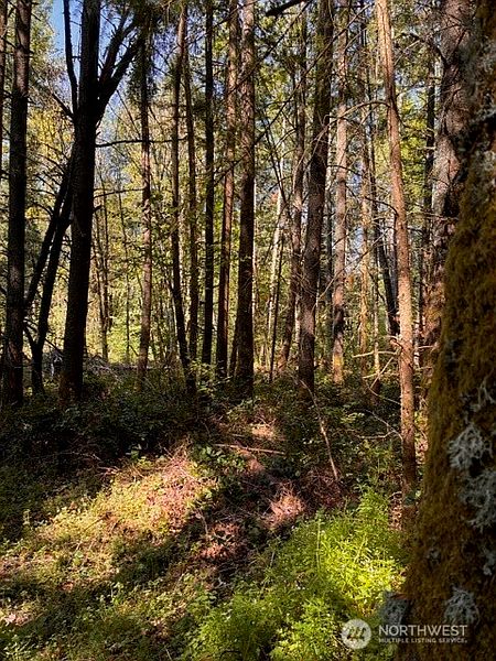 3rd image of 0 Chuckawa Lane SW