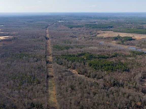 5th image of Tm 9 19 Trigger Ln