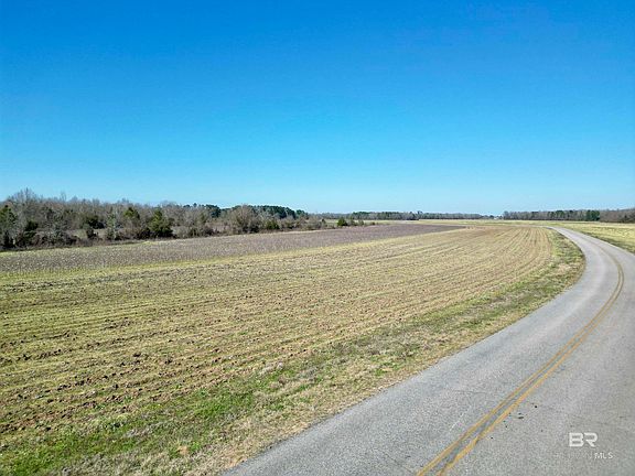 3rd image of 7 Cowpen Creek Rd