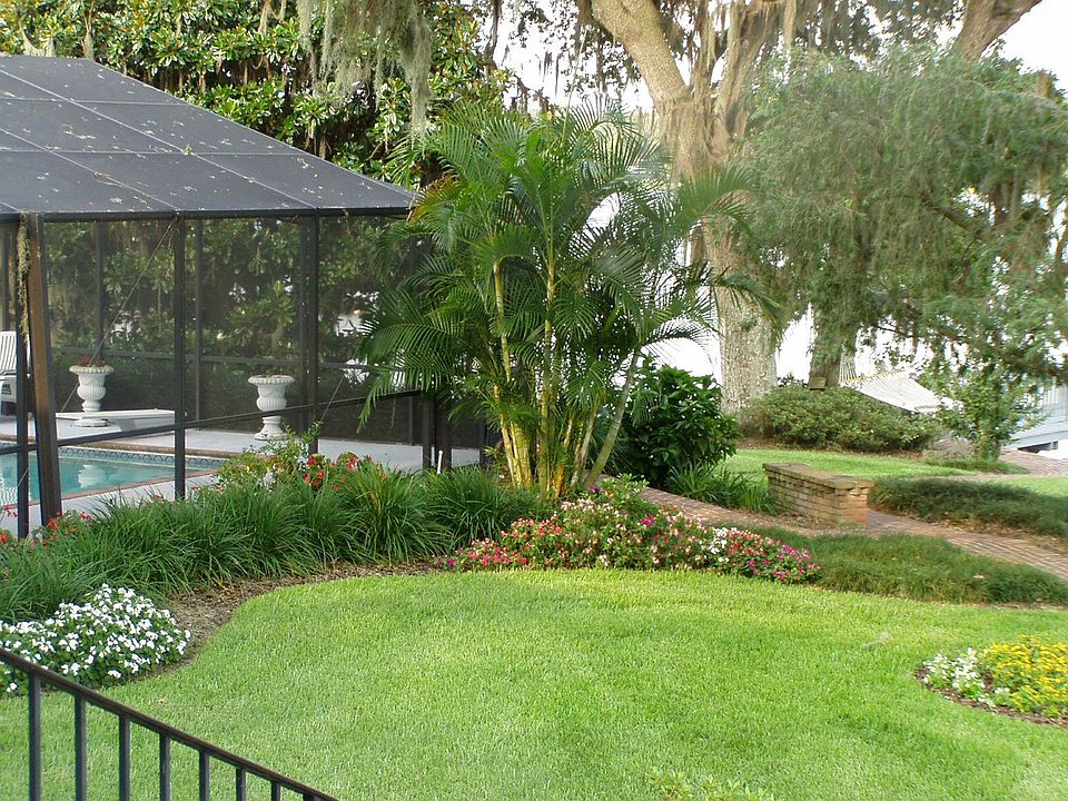 Backyard in Spring