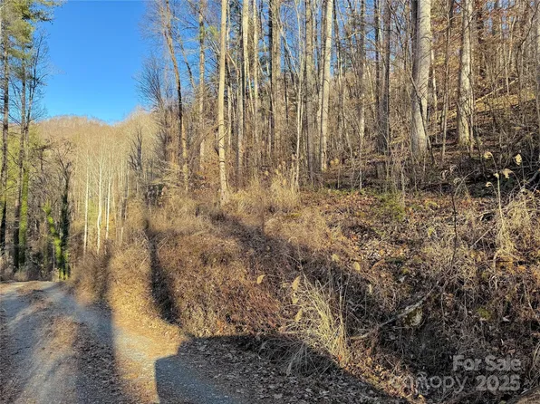 Timberside Dr, Mars Hill, NC 28754