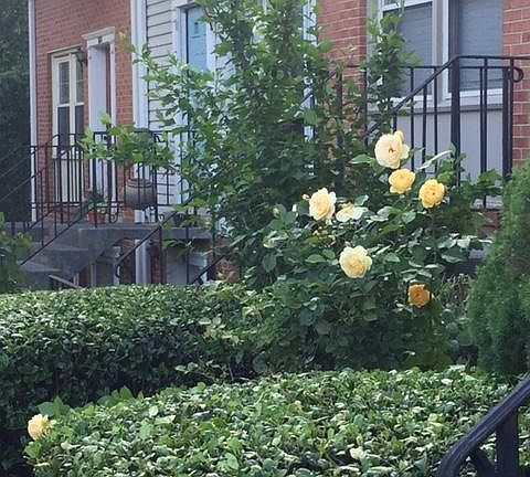 3rd image of 118B N Bedford St