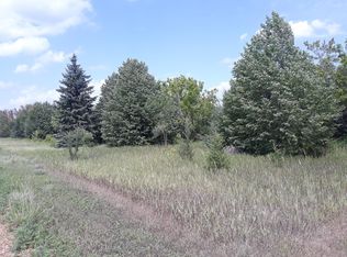 155 Halsey Ave, Carver, MN 55315