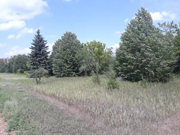 155 Halsey Ave, Carver, MN 55315