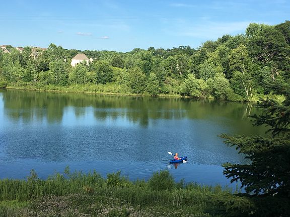 Pond views