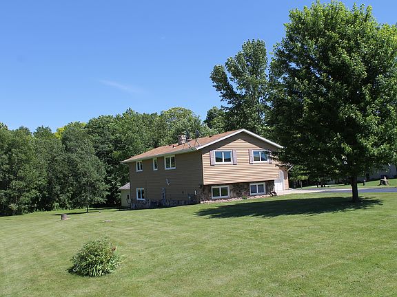 Mature shade trees
