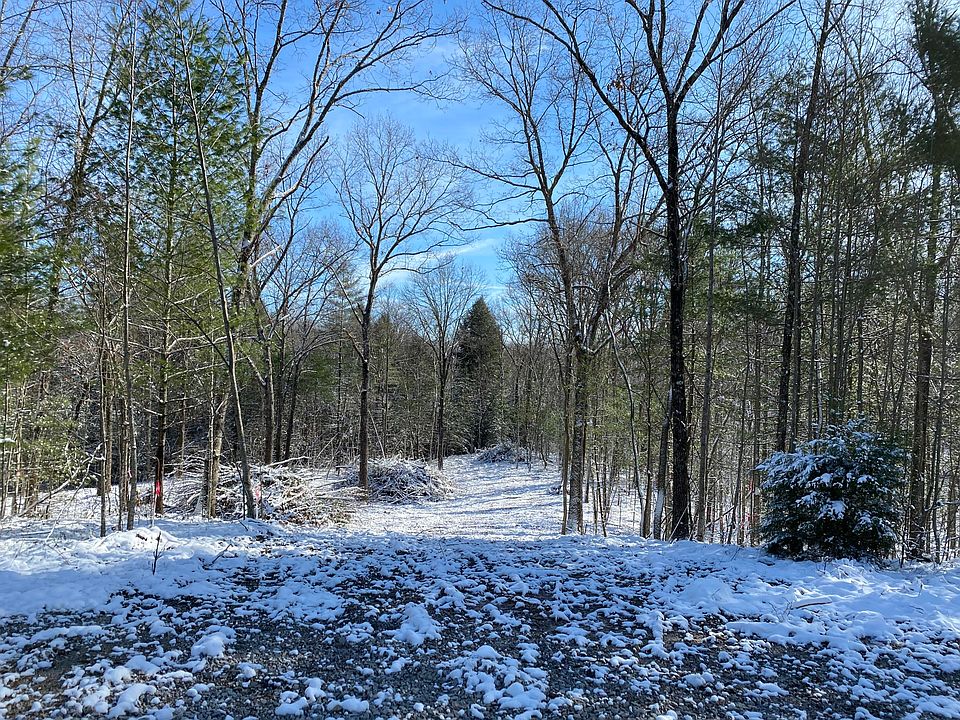 2nd image of Cougar Ln