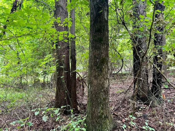 0 Ben Franklin Hwy, Ebensburg, PA 15931