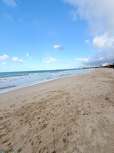 4429 Avenue Isla Verde #702 Photo 1