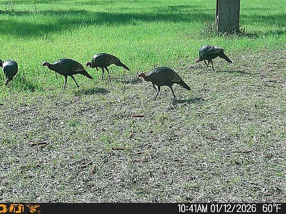 5th image of 1701 SW Moseley Hall Rd