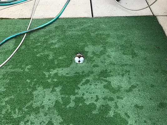 Rented by JSG Realty Corp | media 34