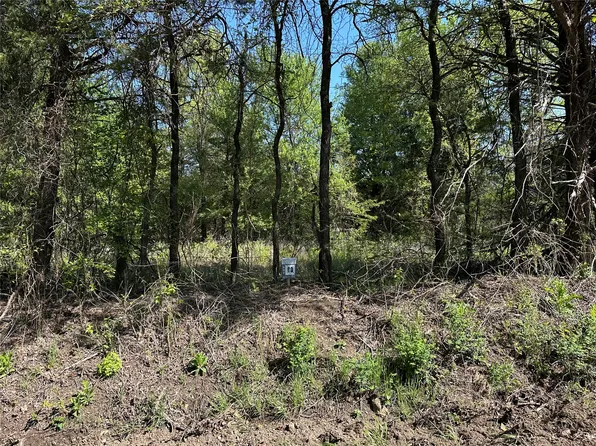 TRACT Thirteen County Rd #2951, Honey Grove, TX 75446