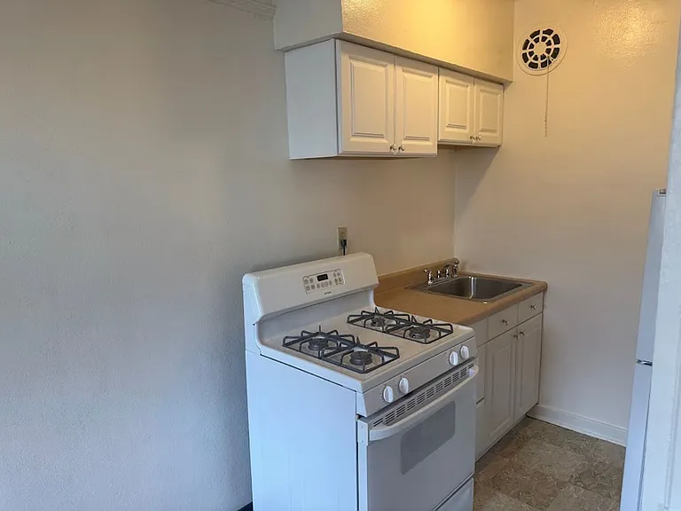 434 Shady Avenue — Photo 34