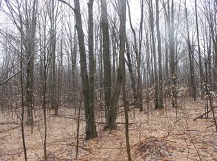 Park, Frederic, MI 49733