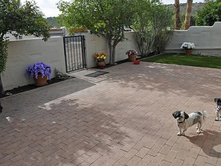 Nice back patio for BBQ or the pets