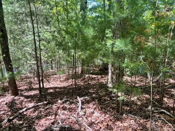 LOT 2 Mount Pleasant Rdg, Blairsville, GA 30512