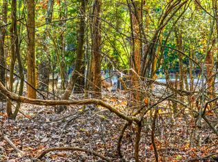 LOT 17 Sweet Gum, Mount Vernon, TX 75457