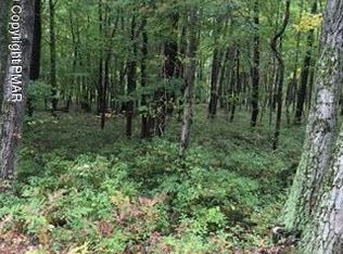 Maple Lake Dr, Bushkill, PA 18324