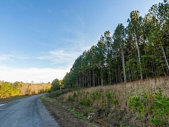 3rd image of 0 Sipsey Overlook Rd Lot 130