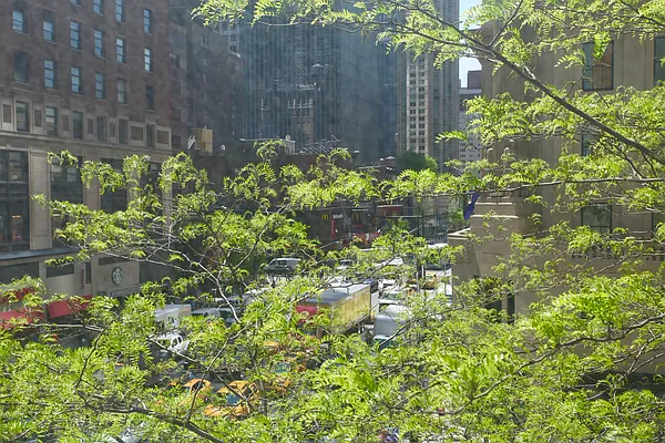 Rented by Douglas Elliman | media 17