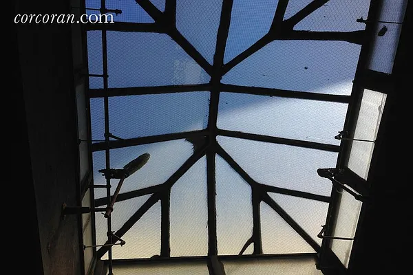 Rented by Corcoran | media 17