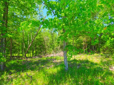 83 Gamaliel Rd, Red Boiling Springs, TN, 37150