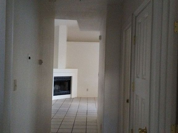 Wood burning fireplac