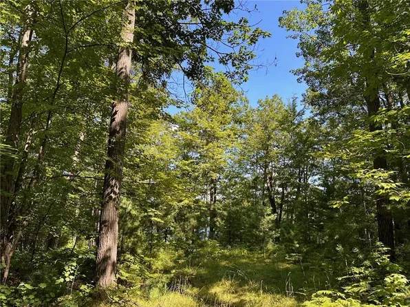 Lot 4 Oriole Lane, Hayward, WI 54843