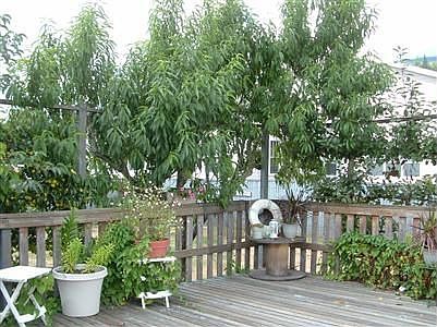 Private back deck
