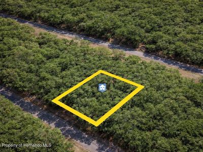 1628 E Badger Dr, Citrus Springs, FL, 34434