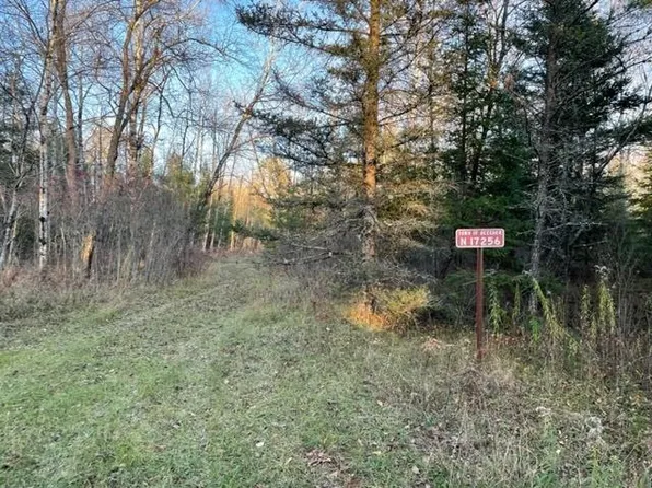 N17256 Wild Tree Dr, Pembine, WI 54156