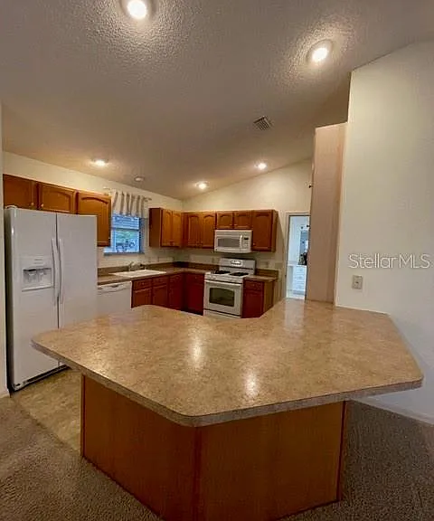 1704 Lisette Way — Photo 10