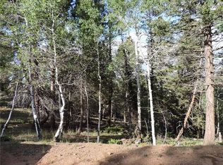 52 Ridge Cir, Divide, CO 80814