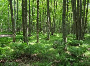 10555 Easement Rd, Tipler, WI 54542