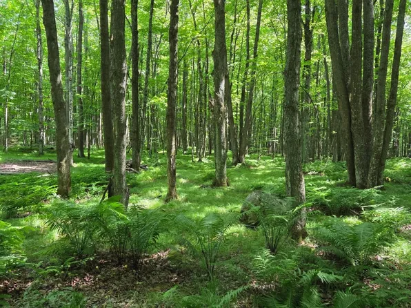 10555 Easement Rd, Tipler, WI 54542