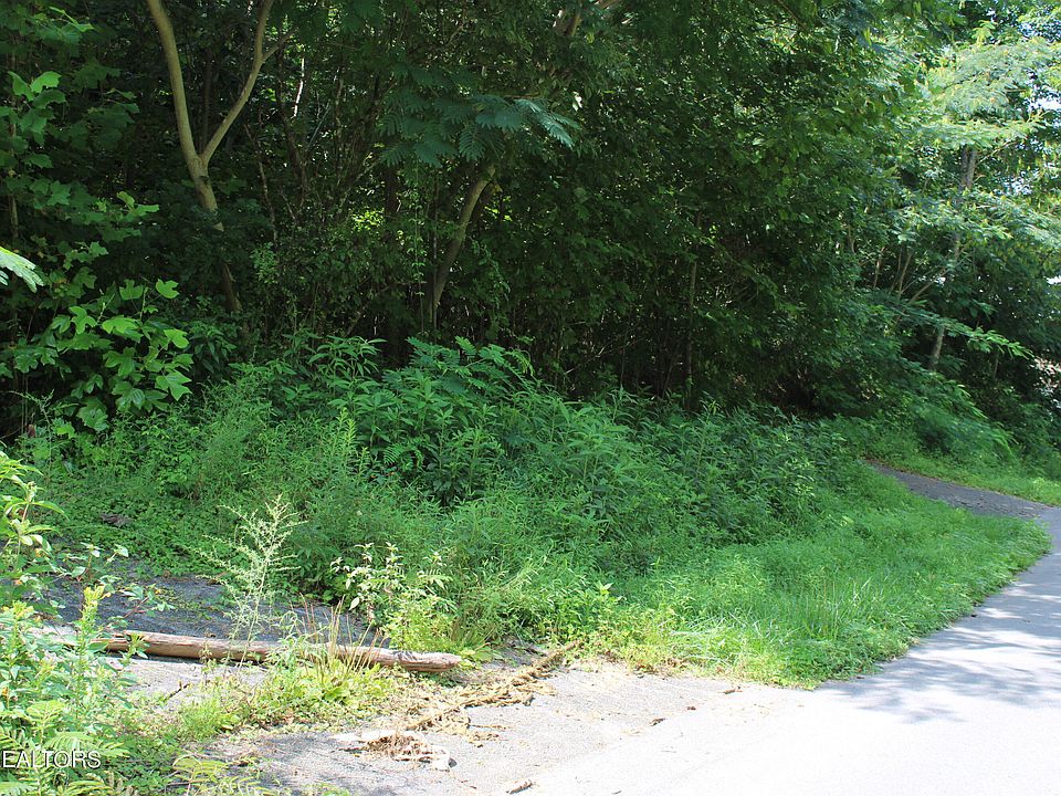 2nd image of 262/264 Loop Rd