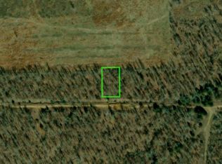 2406 Peaceful Hollow Dr, Horseshoe Bend, AR 72512