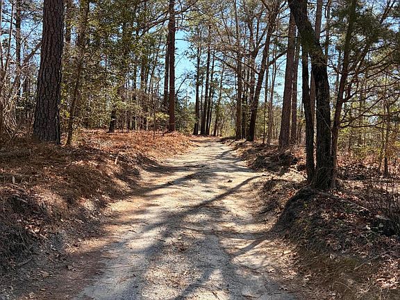 5th image of 880 Doubs Chapel Rd Lot 1A