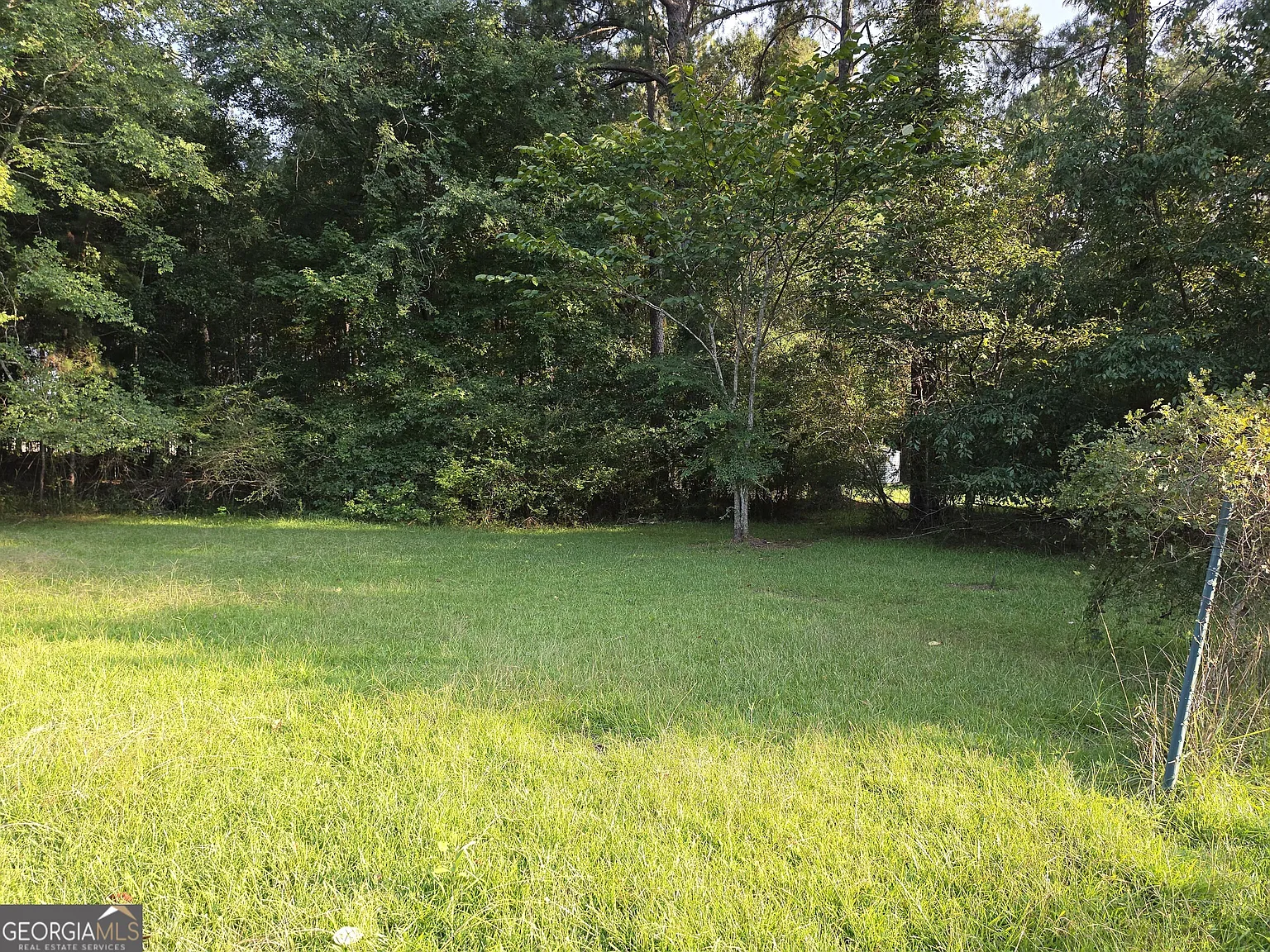 3 bed, 1.5 bath, 1458 sqft, $1,300 — Photo 3