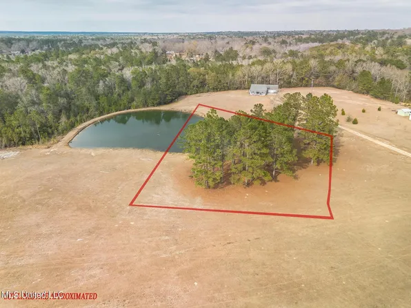 6 Kahler Ln Lot 6, Mc Henry, MS 39561